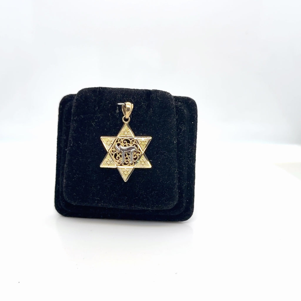 14k Two-Tone Gold Star of David Chai Pendant, Yellow & White Gold