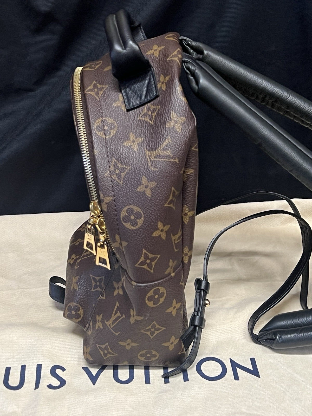 Louis Vuitton Palm Springs PM Monogram Canvas Backpack M44871 Brown, Black (view 7)