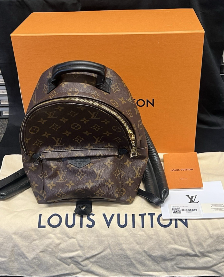 Louis Vuitton Palm Springs PM Monogram Canvas Backpack M44871 Brown, Black (view 16)