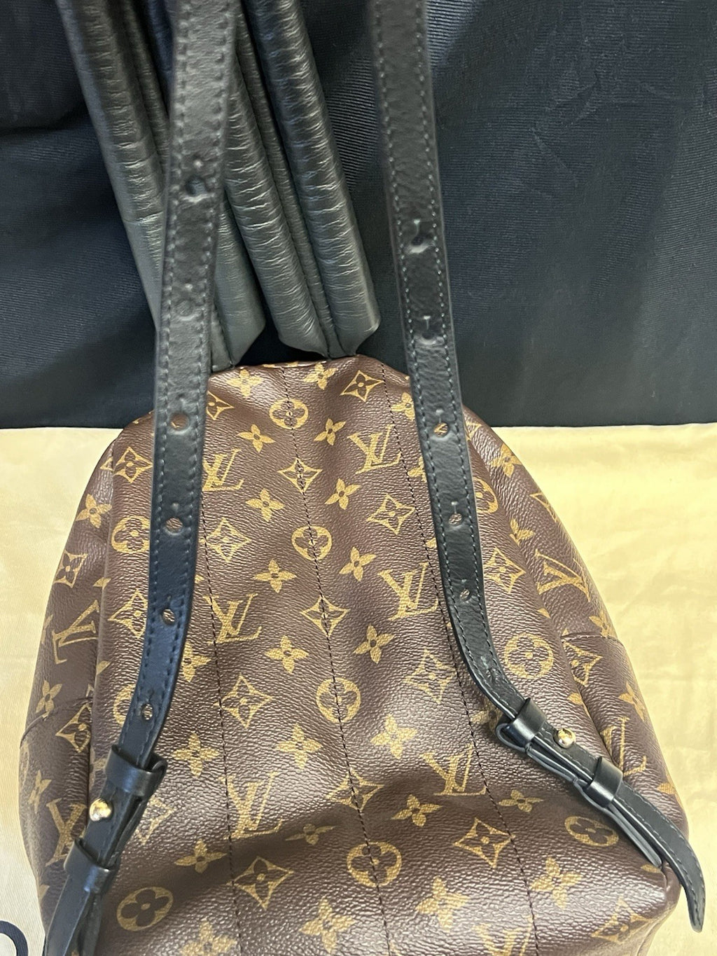 Louis Vuitton Palm Springs PM Monogram Canvas Backpack M44871 Brown, Black (view 6)