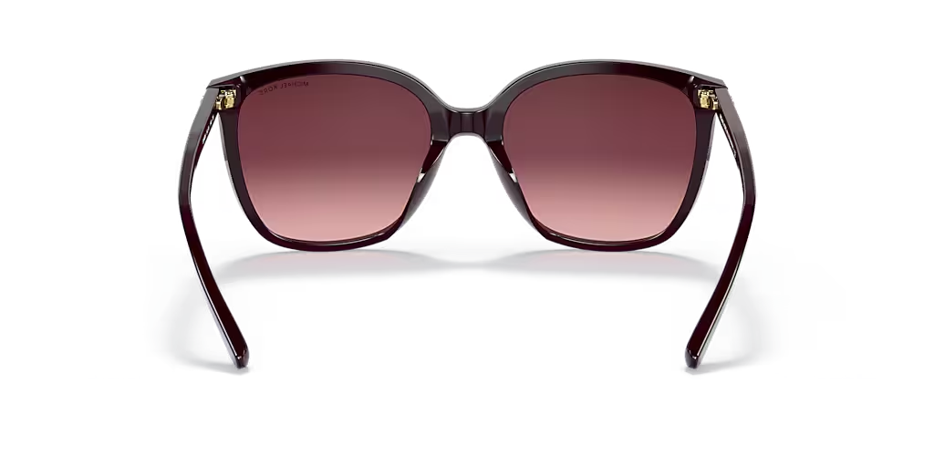 Michael Kors Anahiem Sunglasses MK2137U Cordovan/cordovan Gradient 140mm (view 4)