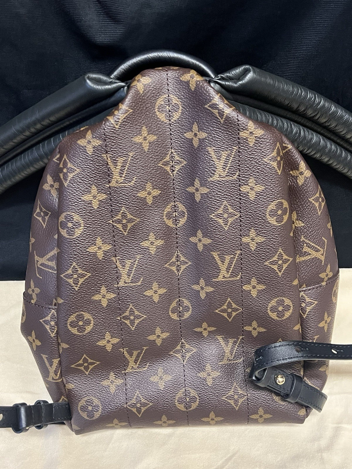 Louis Vuitton Palm Springs PM Monogram Canvas Backpack M44871 Brown, Black (view 5)