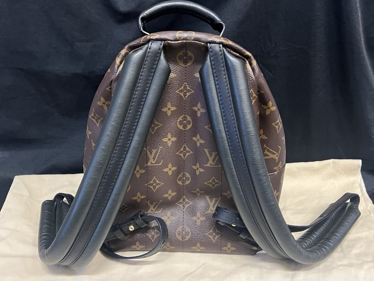 Louis Vuitton Palm Springs PM Monogram Canvas Backpack M44871 Brown, Black (view 4)