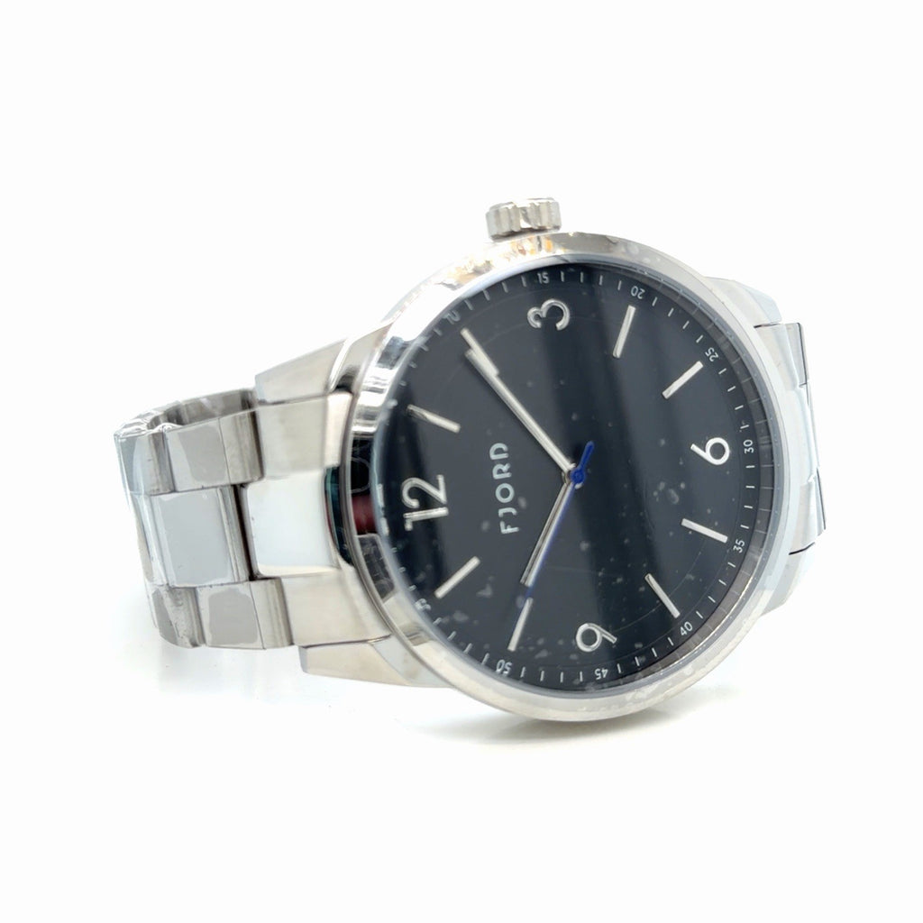 FJORD 44mm Men's Watch Black Dial Stainless Steel PETR FJ-3062-33 (view 2)