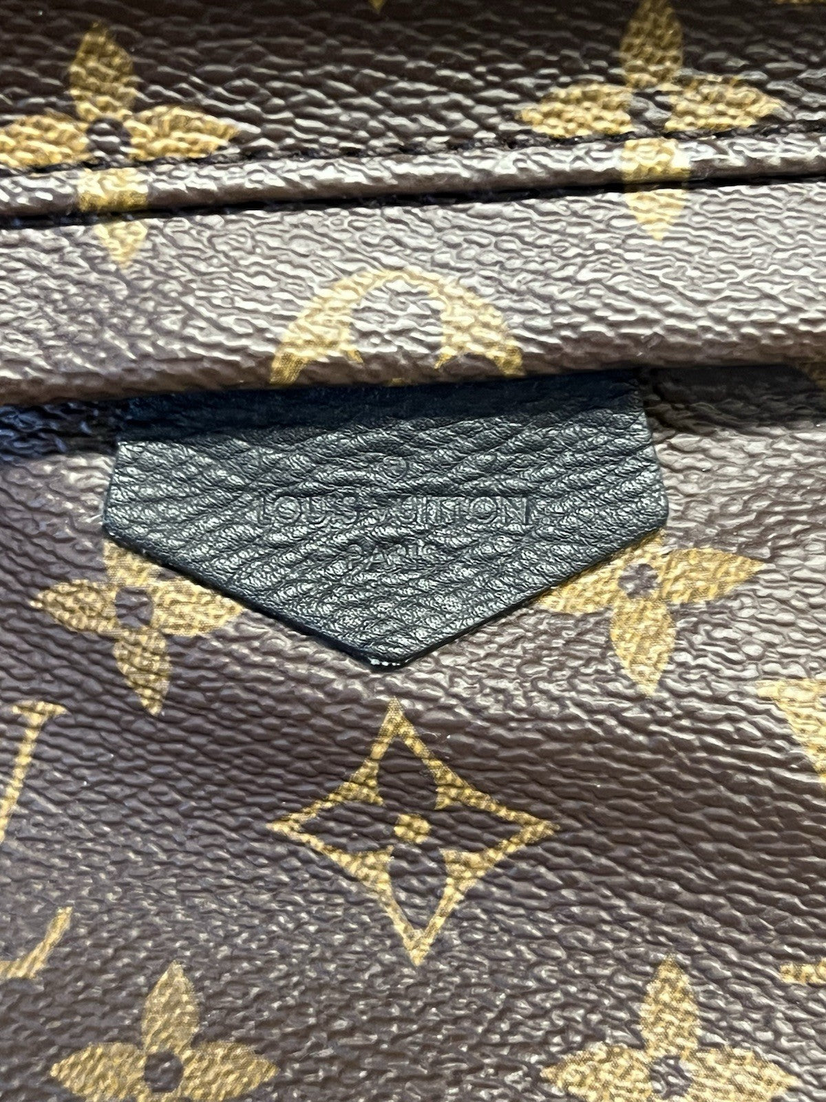 Louis Vuitton Palm Springs PM Monogram Canvas Backpack M44871 Brown, Black (view 15)