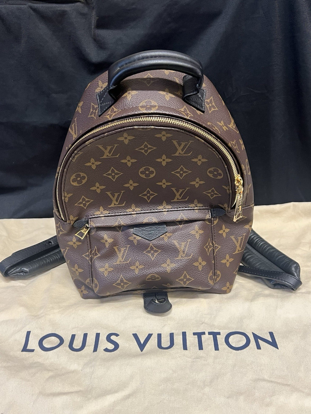 Louis Vuitton Palm Springs PM Monogram Canvas Backpack M44871 Brown, Black (view 2)