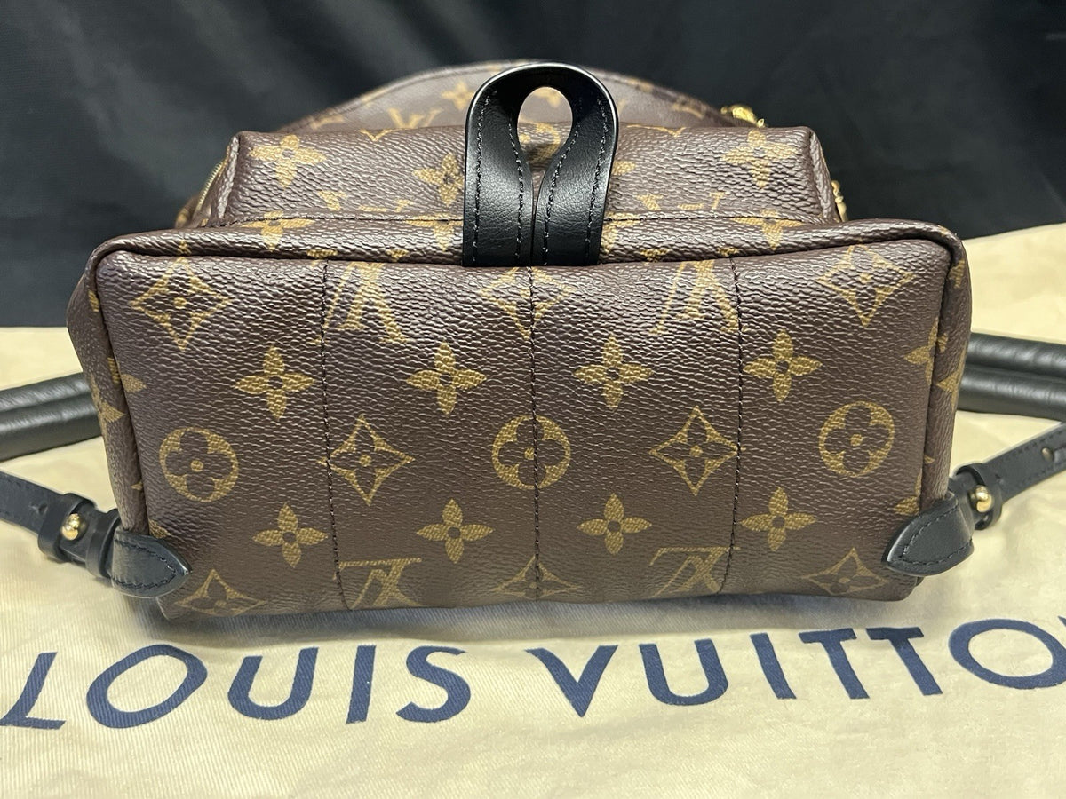 Louis Vuitton Palm Springs PM Monogram Canvas Backpack M44871 Brown, Black (view 9)