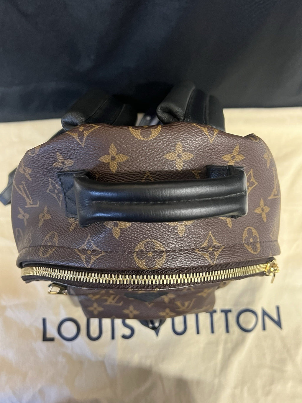 Louis Vuitton Palm Springs PM Monogram Canvas Backpack M44871 Brown, Black (view 8)