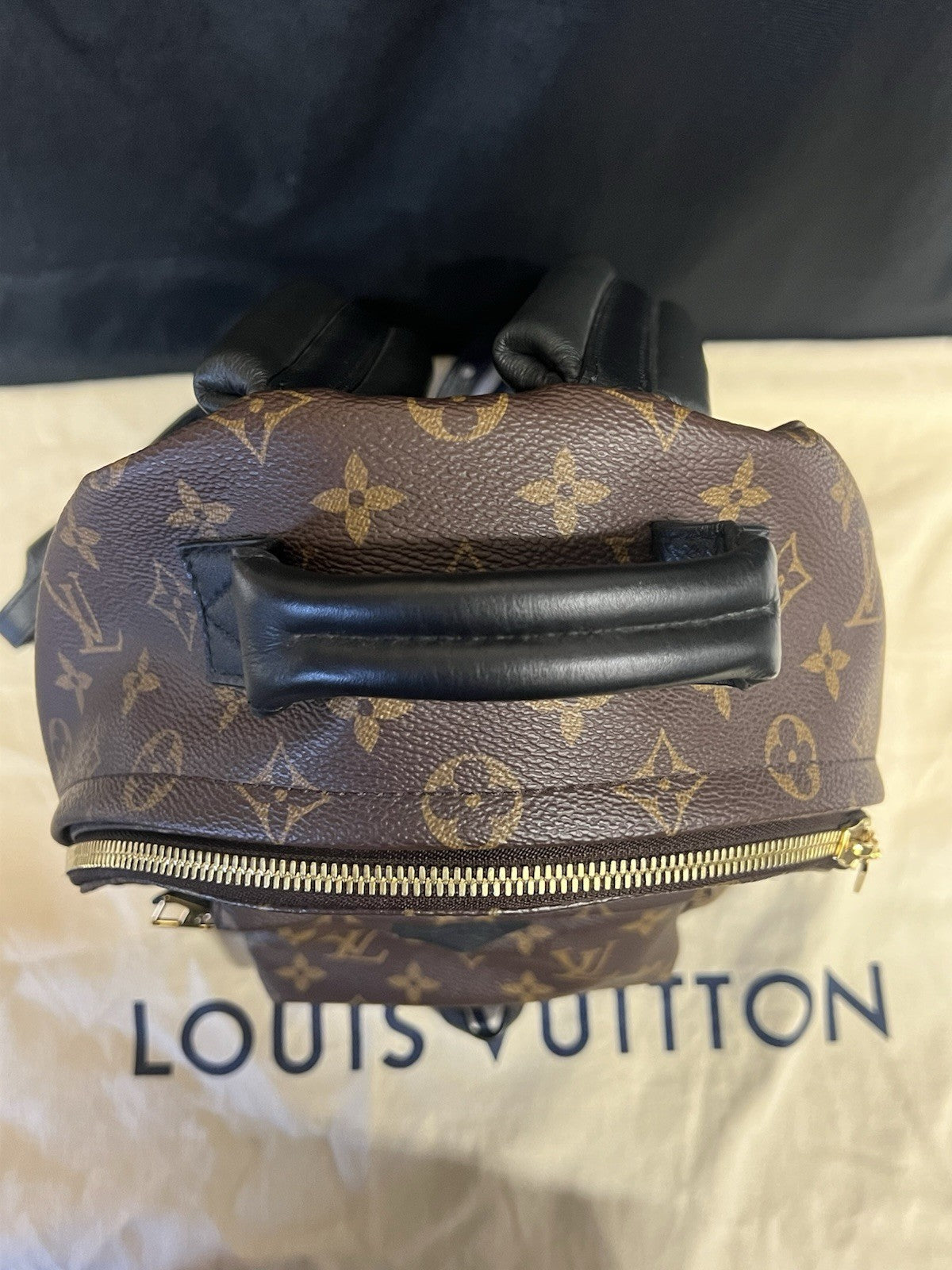 Louis Vuitton Palm Springs PM Monogram Canvas Backpack M44871 Brown, Black (view 8)