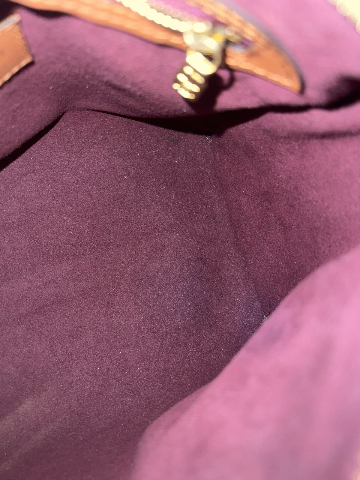 Louis Vuitton Speedy Bandouliere 25 Burgundy Jacquard 1854 Limited Edition (view 8)