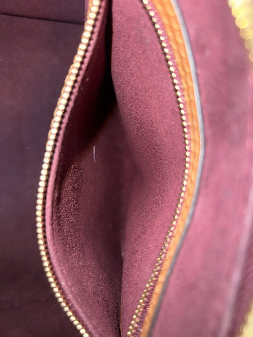 Louis Vuitton Speedy Bandouliere 25 Burgundy Jacquard 1854 Limited Edition (view 10)