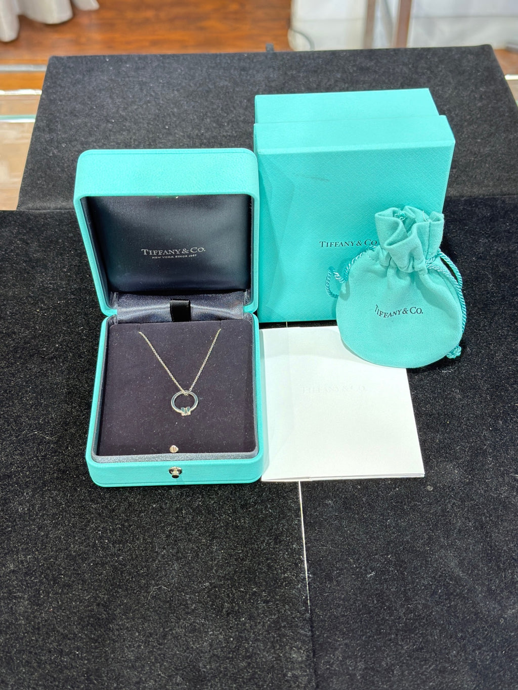 Tiffany & Co. 18K White Gold T Wire Circle Diamond Pendant Necklace 18"