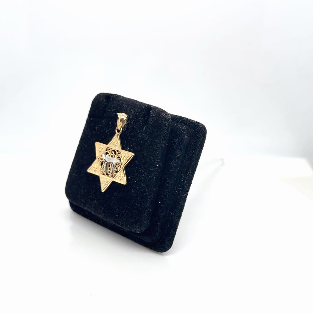 14k Two-Tone Gold Star of David Chai Pendant, Yellow & White Gold (view 2)